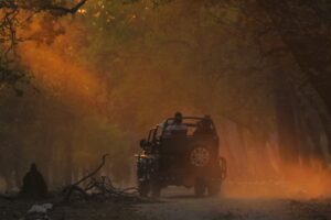 Rajaji-Jeep-Safari