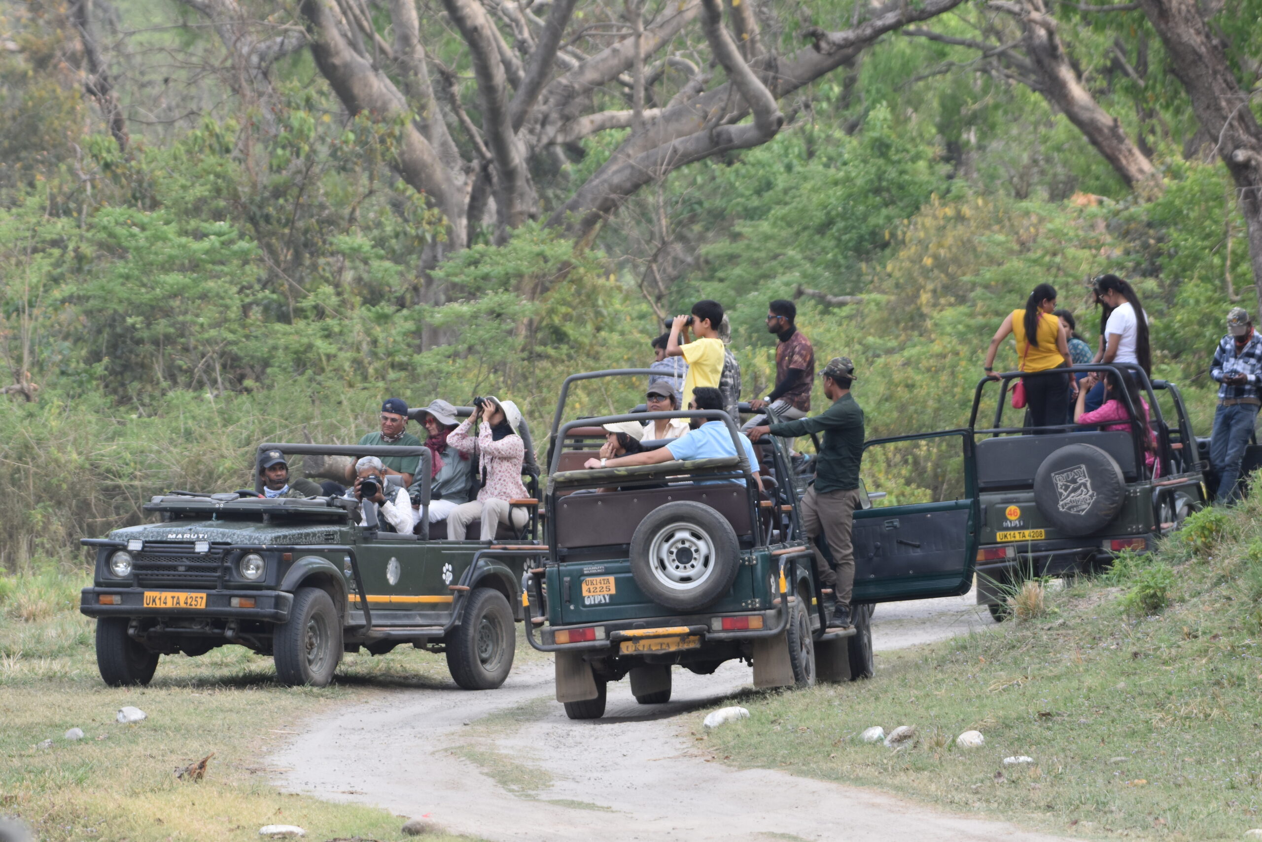 Rajaji-Jeep-Safari