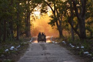 Rajaji-Jeep-Safari