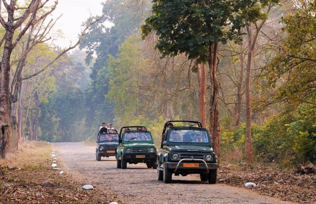 Rajaji-Jeep-Safari