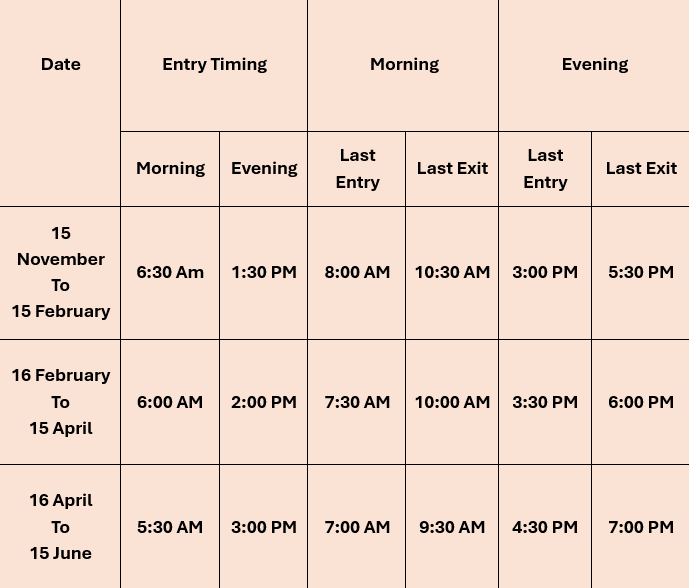 safarii Timing