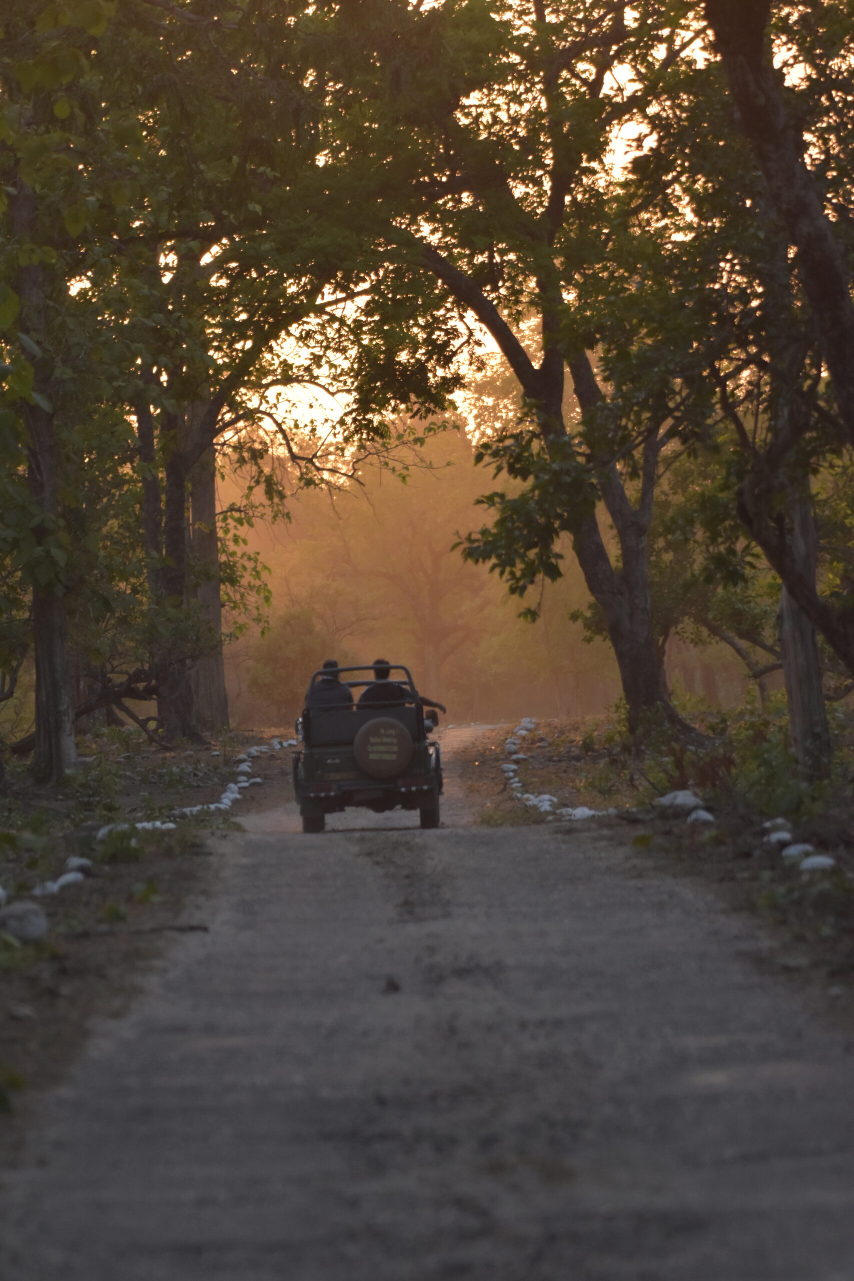 Rajaji-Jeep-Safari